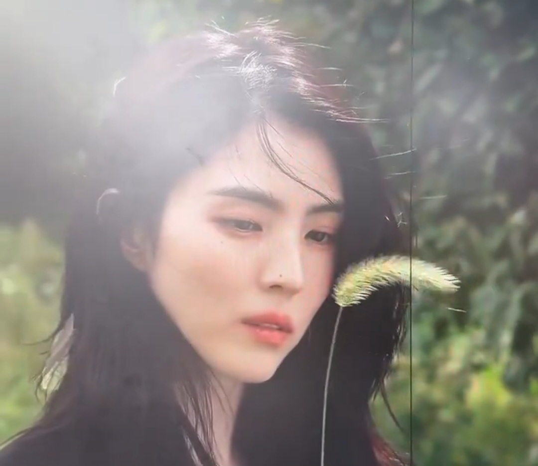 [잡담] 251020 한소희 인스타그램 업데이트 | 인스티즈