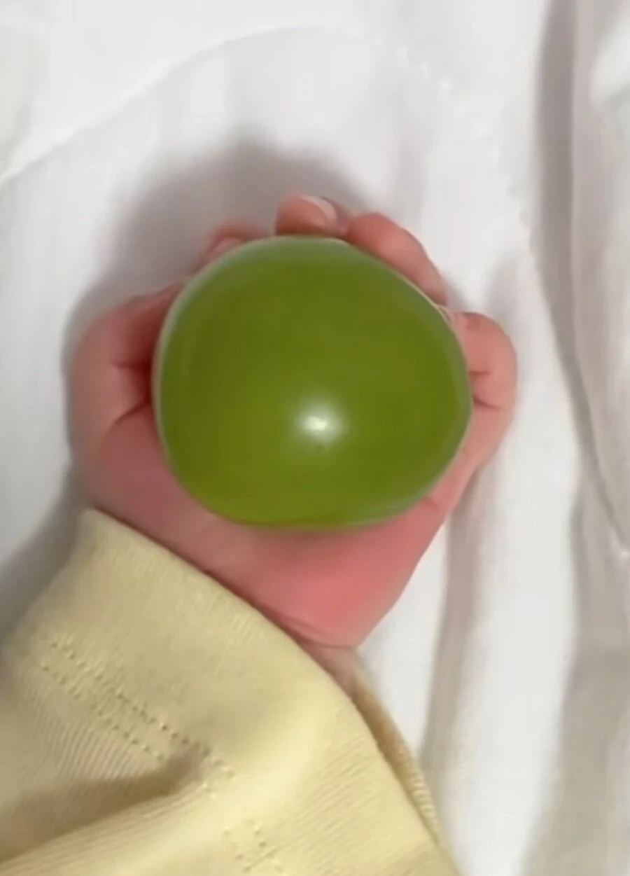 샤인머스켓 한 알 크기 | 인스티즈