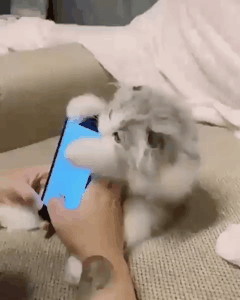 나랑 안놀아줄꺼냥 | 인스티즈