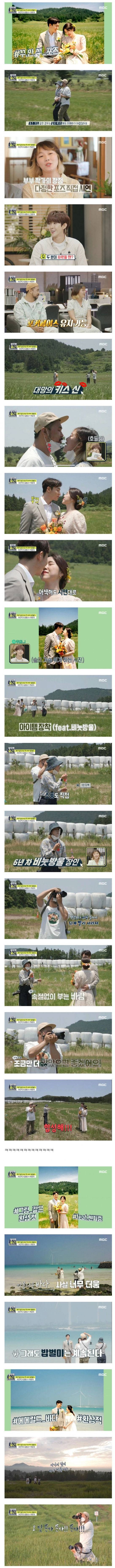 [아무튼 출근] 제주살이 6년차 부부 밥벌이 | 인스티즈