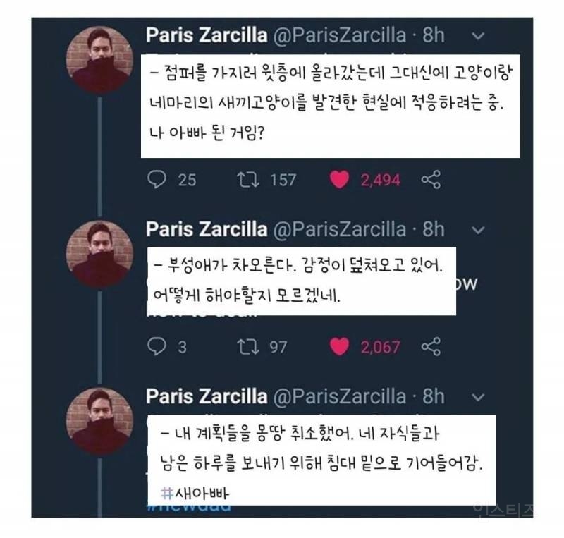 우울증 걸린 사람집에 고양이가 들어옴 | 인스티즈