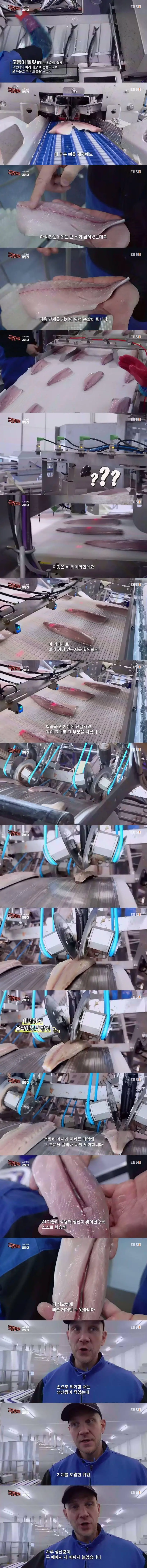 노르웨이에서 고등어 가시 제거하는 방법 | 인스티즈