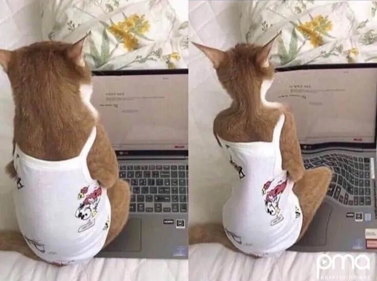 보정어플이 사기인 이유..jpg | 인스티즈