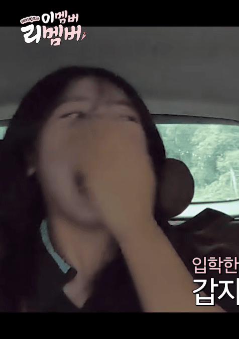 내향인은 타자마자 기절할 것 같은 에이핑크 차 | 인스티즈