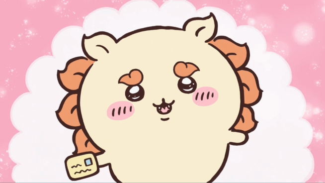 [잡담] 열정 가득한 시사는 사랑이지 ✊️ | 인스티즈