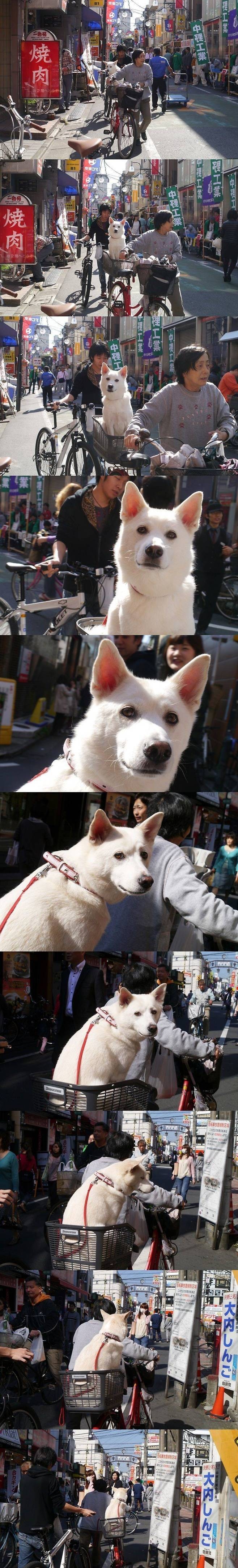 전생에 연인이었을 거 같은 그의 눈빛 | 인스티즈