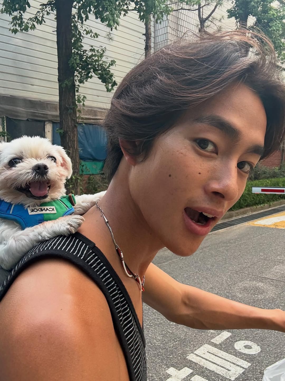 [잡담] 이런 얼굴도 아랍상임? | 인스티즈