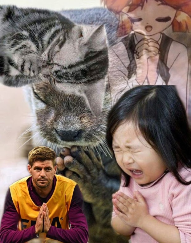 [잡담] 캐스팅플 케미플 소취플 마플보다 앓는글 더더 많아지길 | 인스티즈