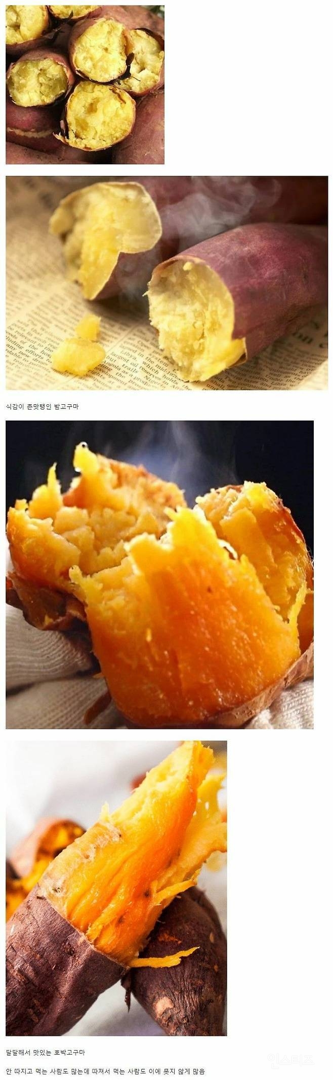 치열하게 갈리는 고구마 취향 | 인스티즈