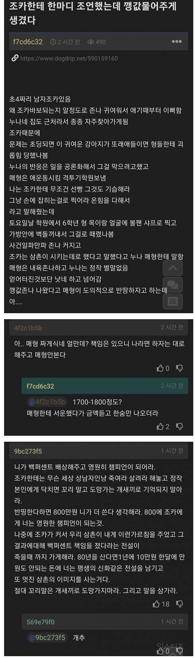 조카한테 조언했다가 깽값 물어주게 생긴 사람 | 인스티즈