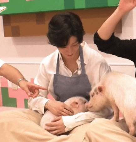 [잡담] 앤톤 내가 아기 돼지를 부러워 하다니ㅠㅠ | 인스티즈