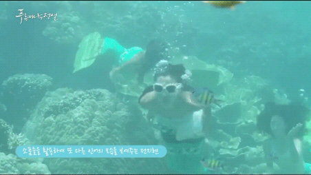 드라마에서 인어역으로 나왔던 전지현 수영실력 | 인스티즈