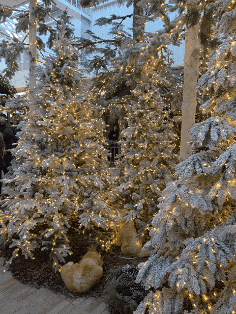 취향 갈리는 별마당도서관 vs 더현대서울 크리스마스 장식 | 인스티즈