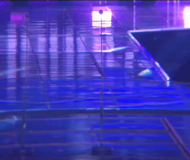 [잡담] 변우석) 고양이세요...? | 인스티즈