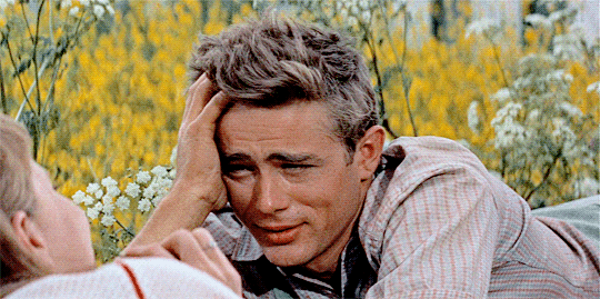 [잡담] 남자가 이정도 외모면 164여도 만날거야? | 인스티즈