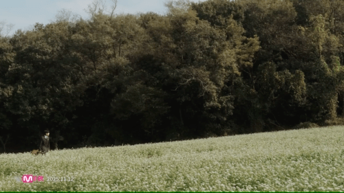 레트로감성이 착붙이라는 싱송라 .jpgif | 인스티즈