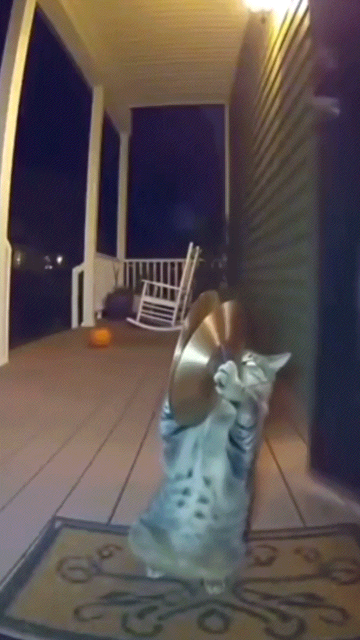 [잡담] 내 웃음 지뢰 짤 | 인스티즈