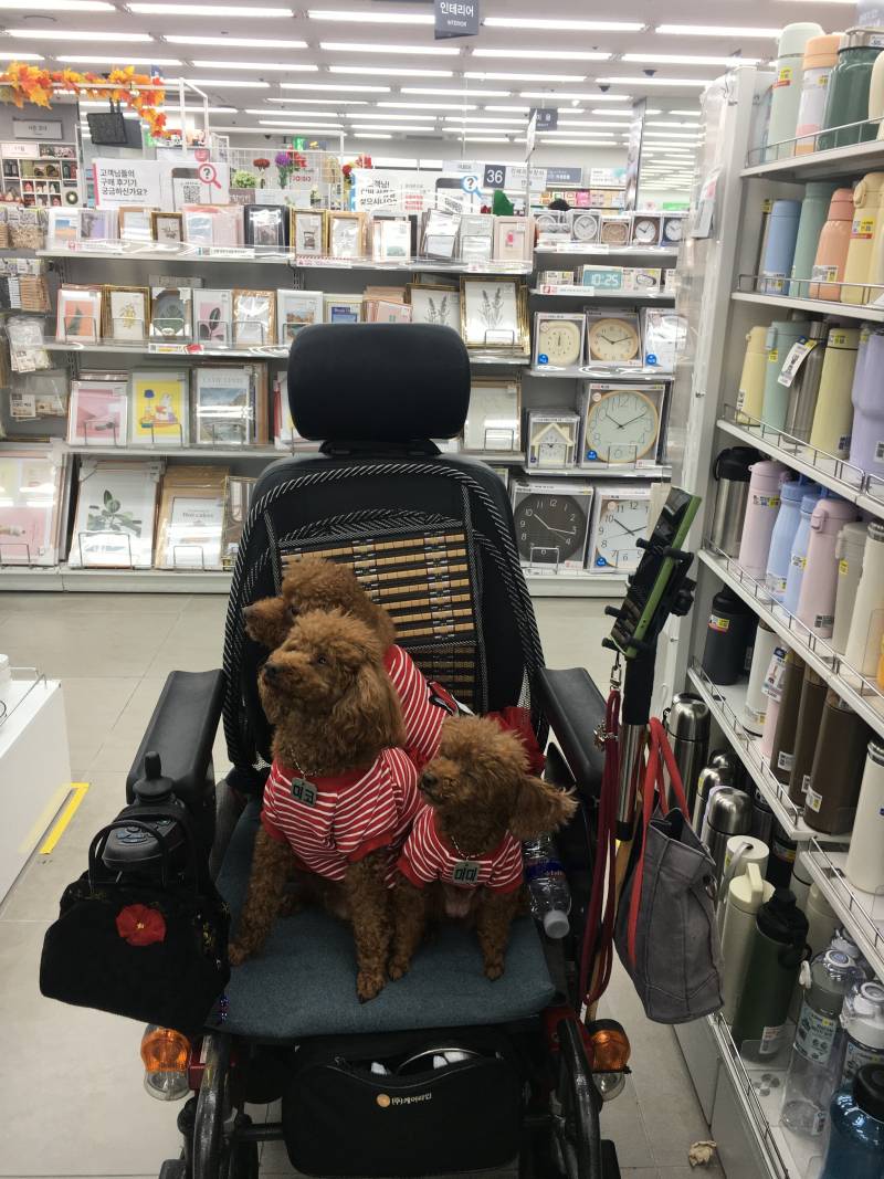 [잡담] 다이소 갔는데 이러고 있더라 | 인스티즈