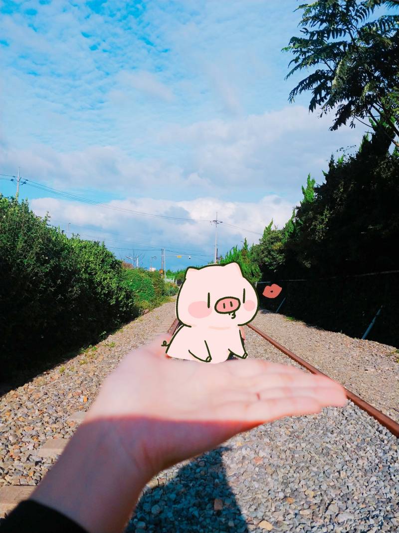 [잡담] 나랑 내친구가 찍은 사진 좀 봐.... | 인스티즈