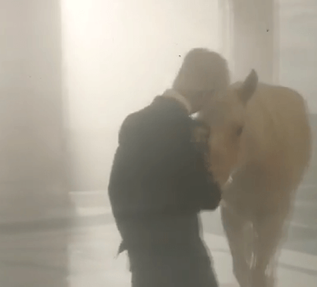 동물한테도 도화살 있는 듯한 연예인..jpgif | 인스티즈