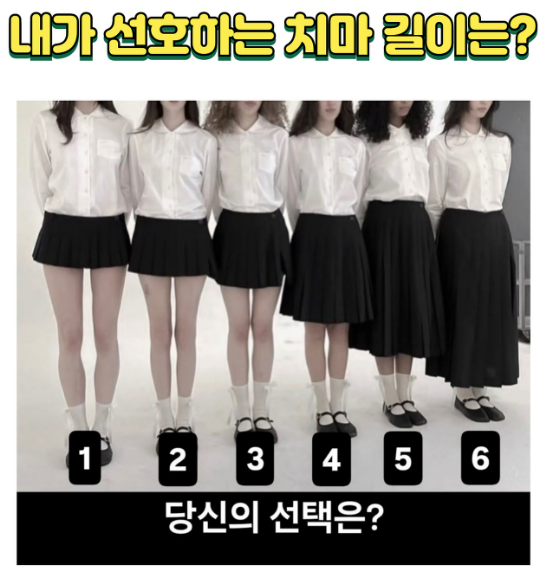 [잡담] 여기서 3번까지가 예쁜 치마길이 같음 | 인스티즈
