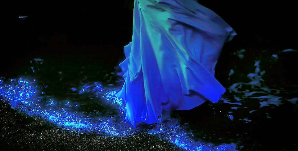 [잡담] 키스는괜히해서) 제주도에서 사랑에 빠진 장면들 연출 너무 이뻐 | 인스티즈