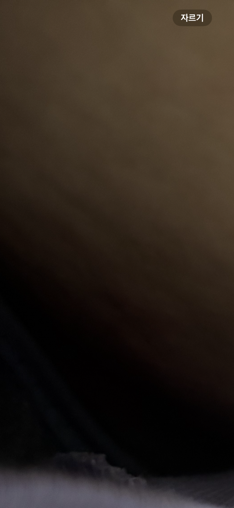 [잡담] 많이심각함? | 인스티즈