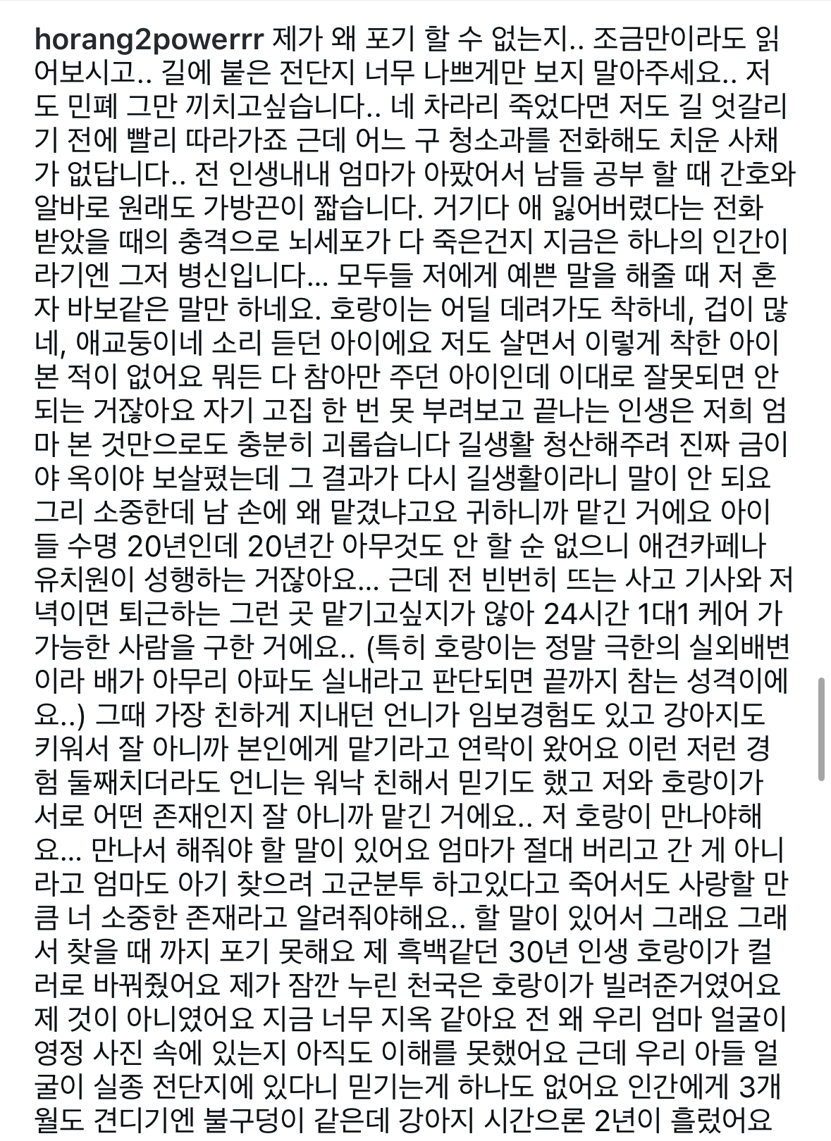 [정보/소식] 사례금 500만원이 걸린 강아지 | 인스티즈