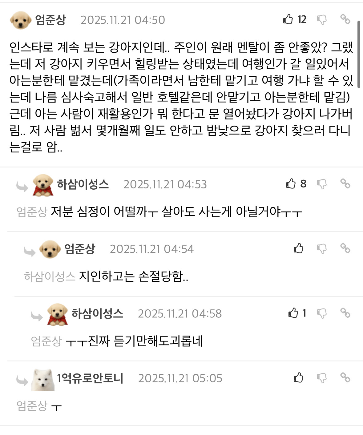 [정보/소식] 사례금 500만원이 걸린 강아지 | 인스티즈