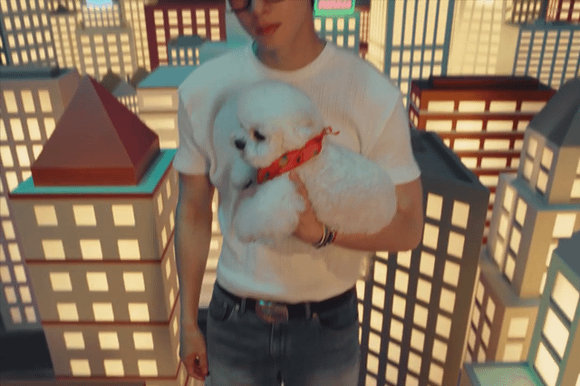 강쥐 동동이가 차은우보자마자 꼬리흔든다..jpgif | 인스티즈