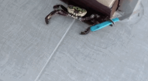 피해자들의 일관적인 진술이 계속되고있는 쇼츠 | 인스티즈