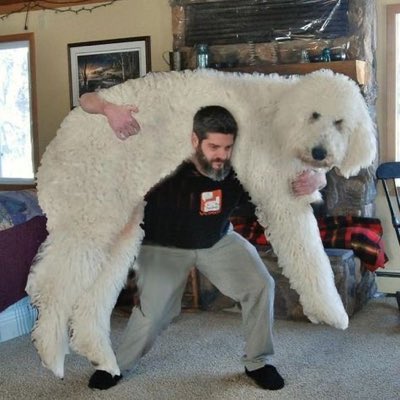 [잡담] 앤톤 권력.. 강아지 닮아서 은석이한테 귀여움 받기 | 인스티즈