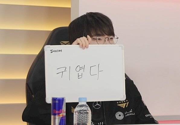 [잡담] 페나잇🌹 | 인스티즈