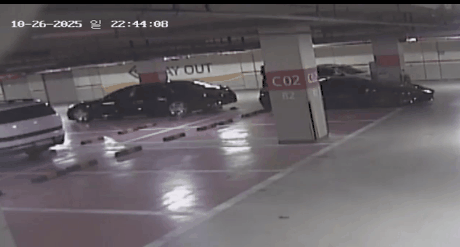 🚨(충격주의) 유튜버 수탉 납치 CCTV 영상 공개🚨 | 인스티즈