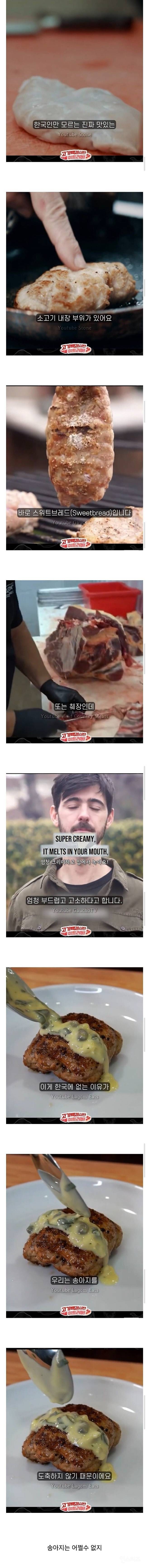 한국인들만 모른다는 진짜 맛있다는 소 내장 부위 | 인스티즈