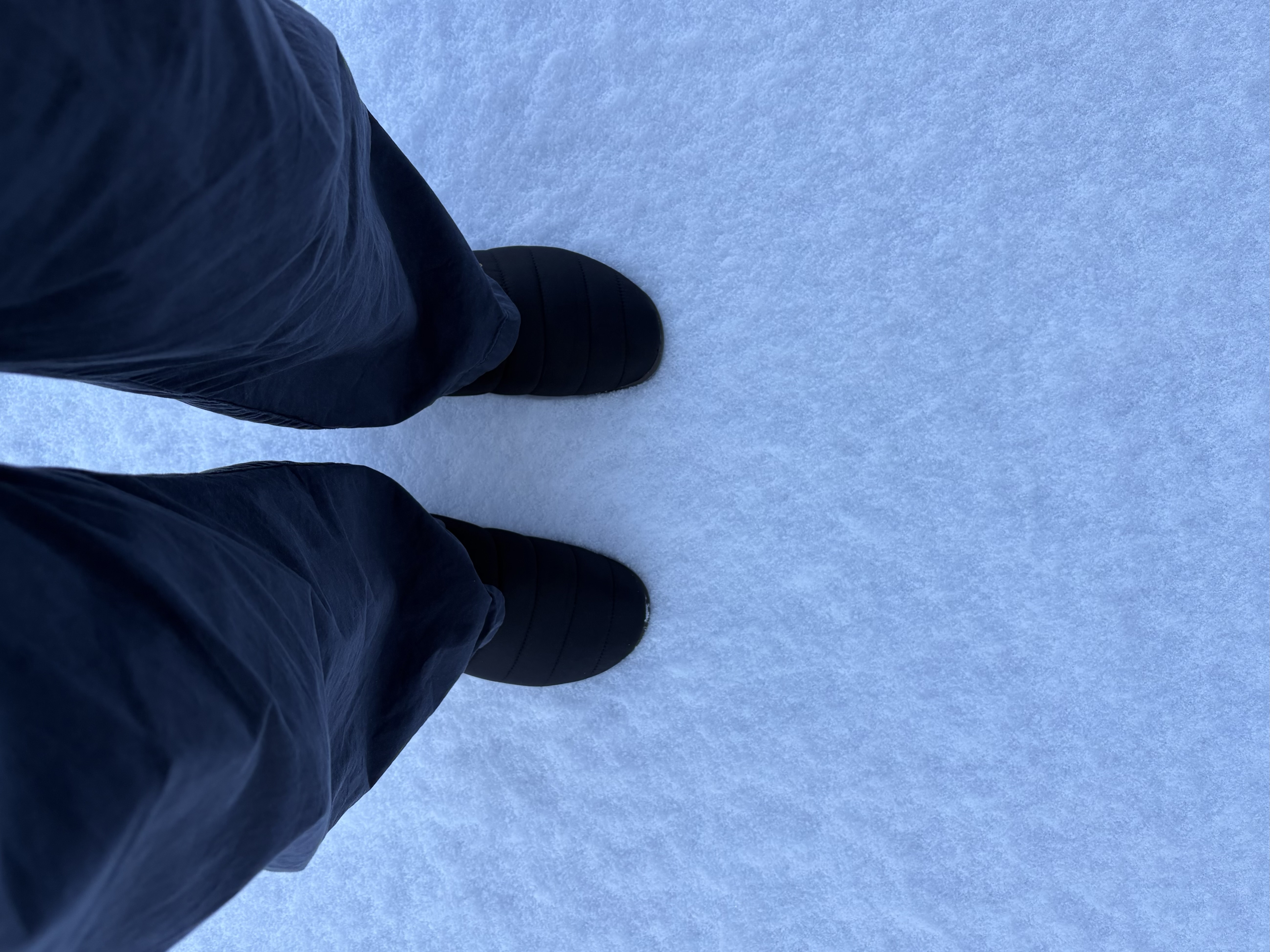 [잡담] 얘들아 패딩신발 신어 | 인스티즈