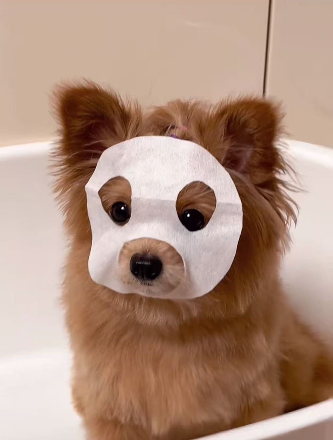 [잡담] 혼란스러운 와중에 이거 보고 가 | 인스티즈