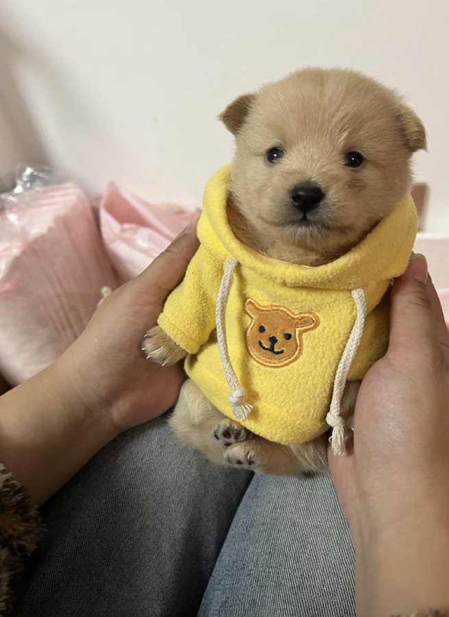 [잡담] 혼란스러운 와중에 이거 보고 가 | 인스티즈