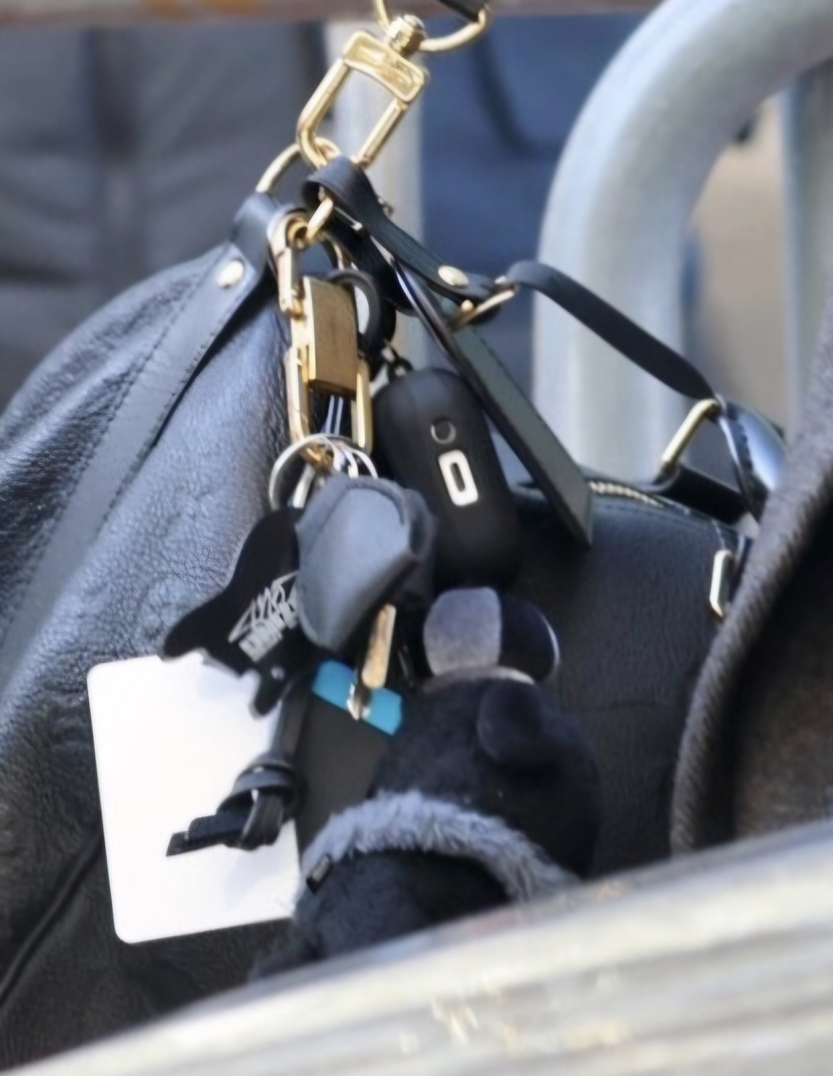 [잡담] 앤톤 가방에 흑룡이 | 인스티즈