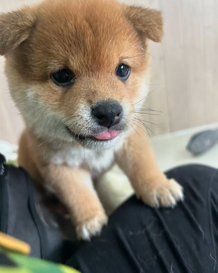 [잡담] 혼란스러운 와중에 이거 보고 가 | 인스티즈