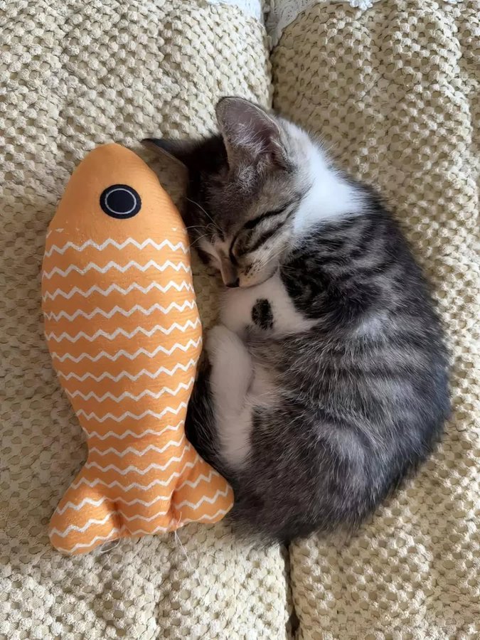 [잡담] 혼란스러운 와중에 이거 보고 가 | 인스티즈