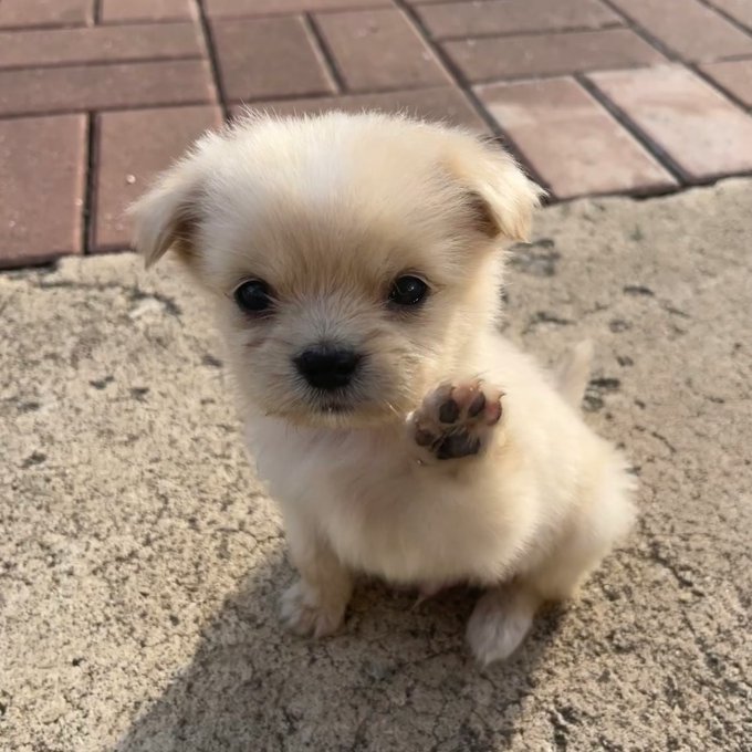 [잡담] 혼란스러운 와중에 이거 보고 가 | 인스티즈