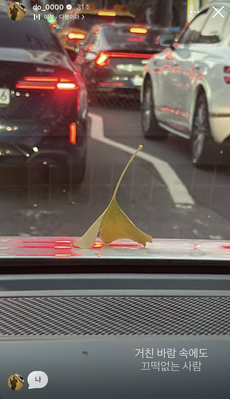 [잡담] 거친 바람 속에도 끄떡없는 사람 | 인스티즈