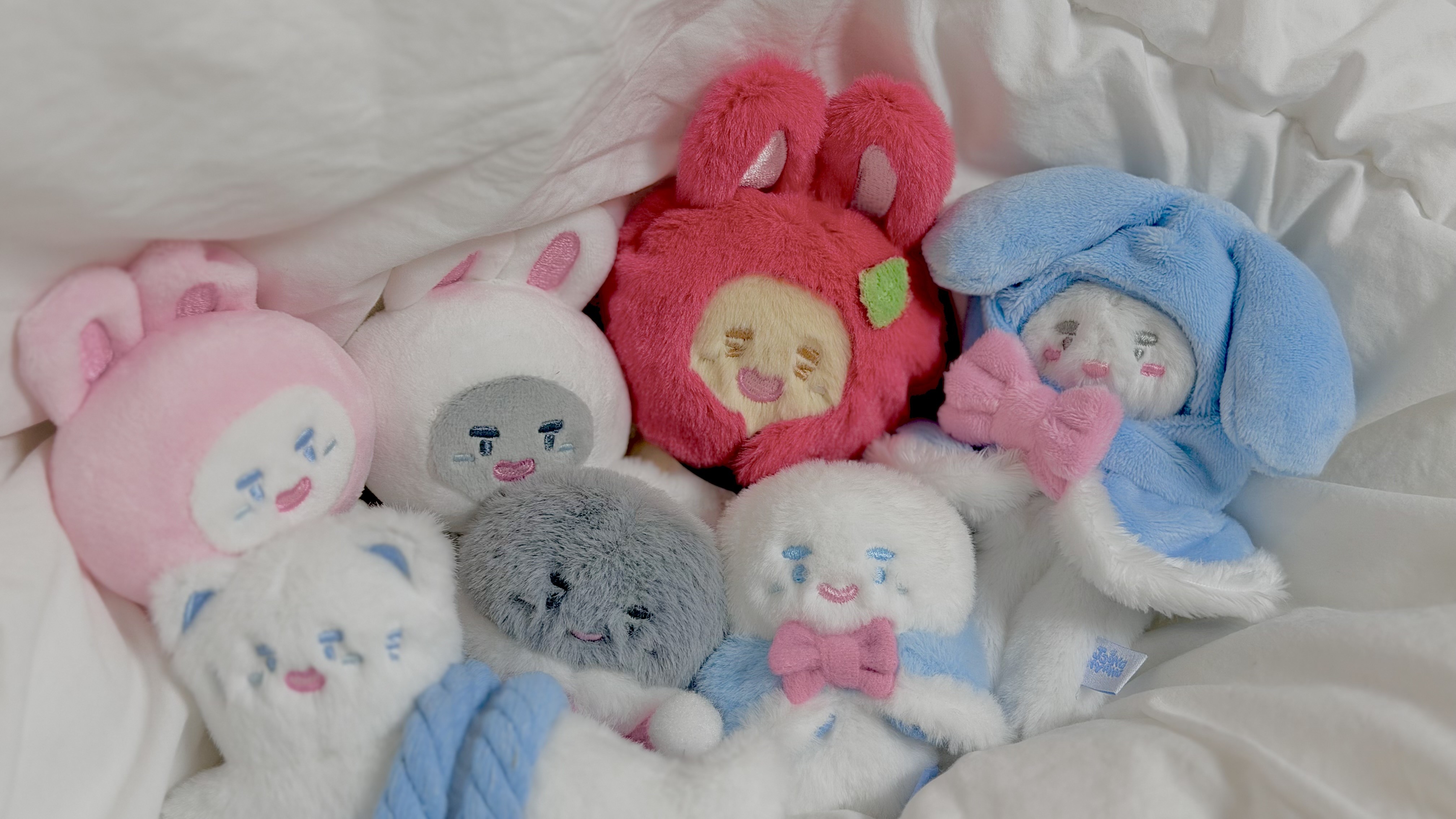 [잡담] 오늘 내가 산 솜뭉치들 봐줘 | 인스티즈