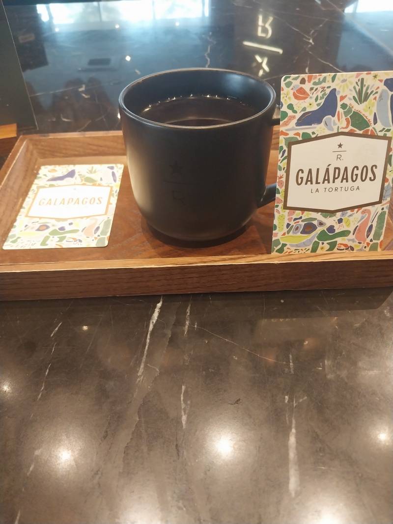 [잡담] 스벅와서 2만원짜리 커피마심ㅜ | 인스티즈