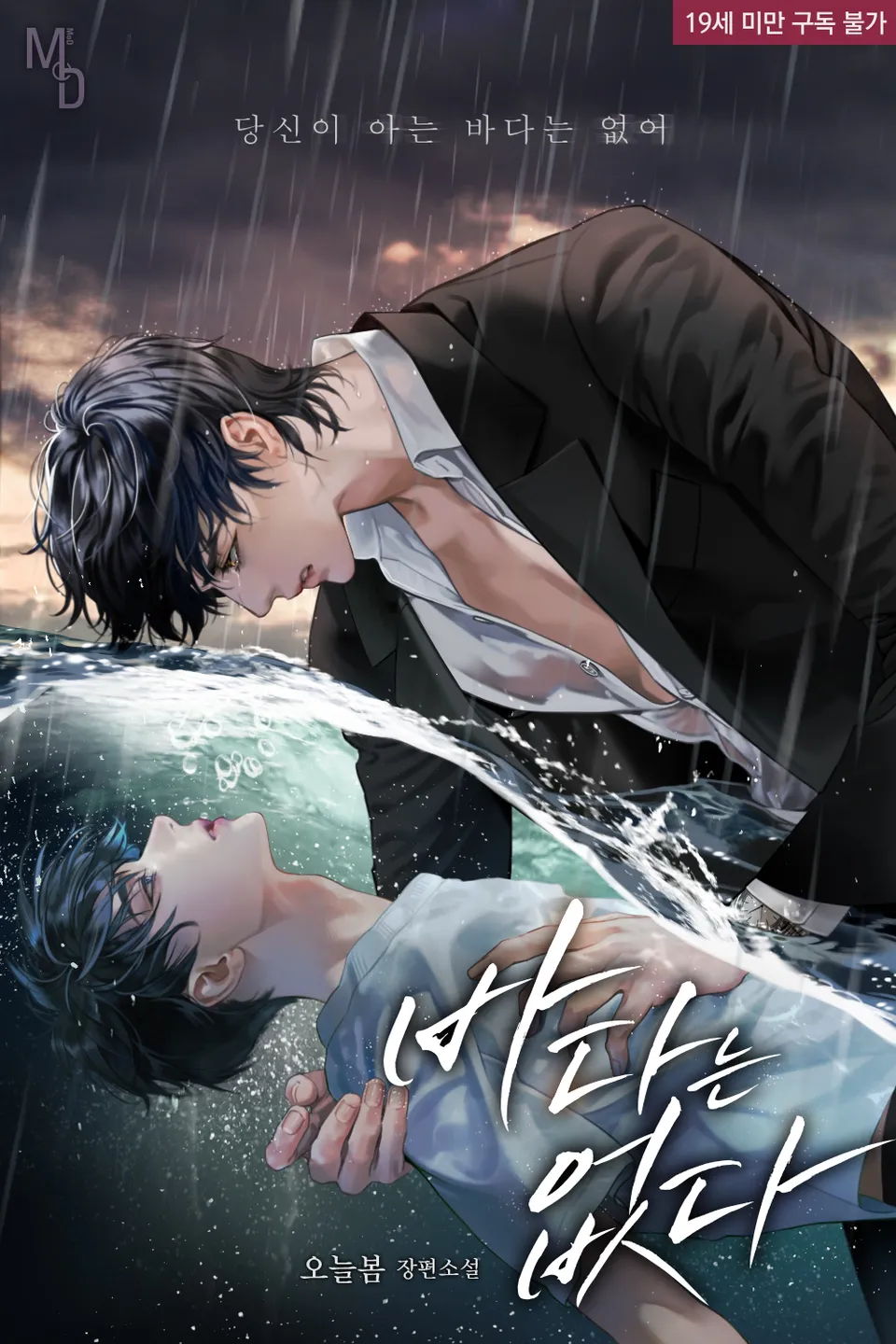 BL 소설 표지 의뢰 시안과 결과물..JPG (약후) | 인스티즈