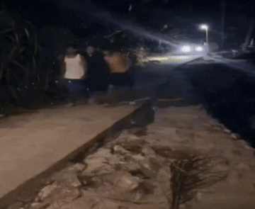 밤에 좁은 시골길은 진짜 조심해.... | 인스티즈