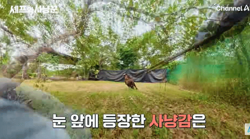 추성훈 근육이 허세란게 아니란 증거 ㄷㄷ | 인스티즈