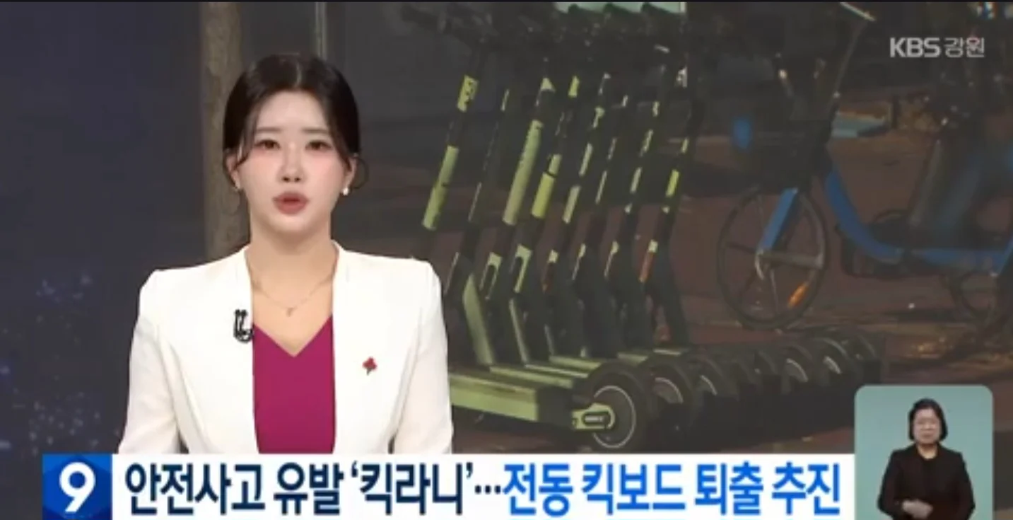 전동 킥보드 퇴출 추진 근황 | 인스티즈