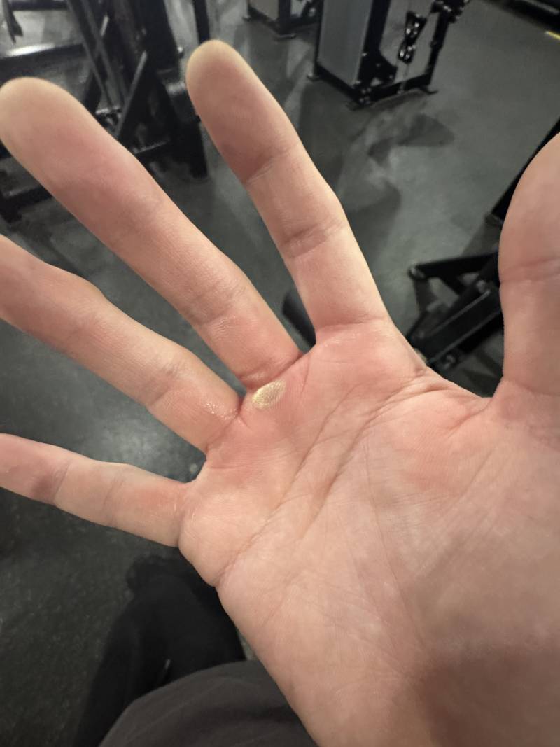 [잡담] 헬스 하는 여익들만 아는 짤 | 인스티즈